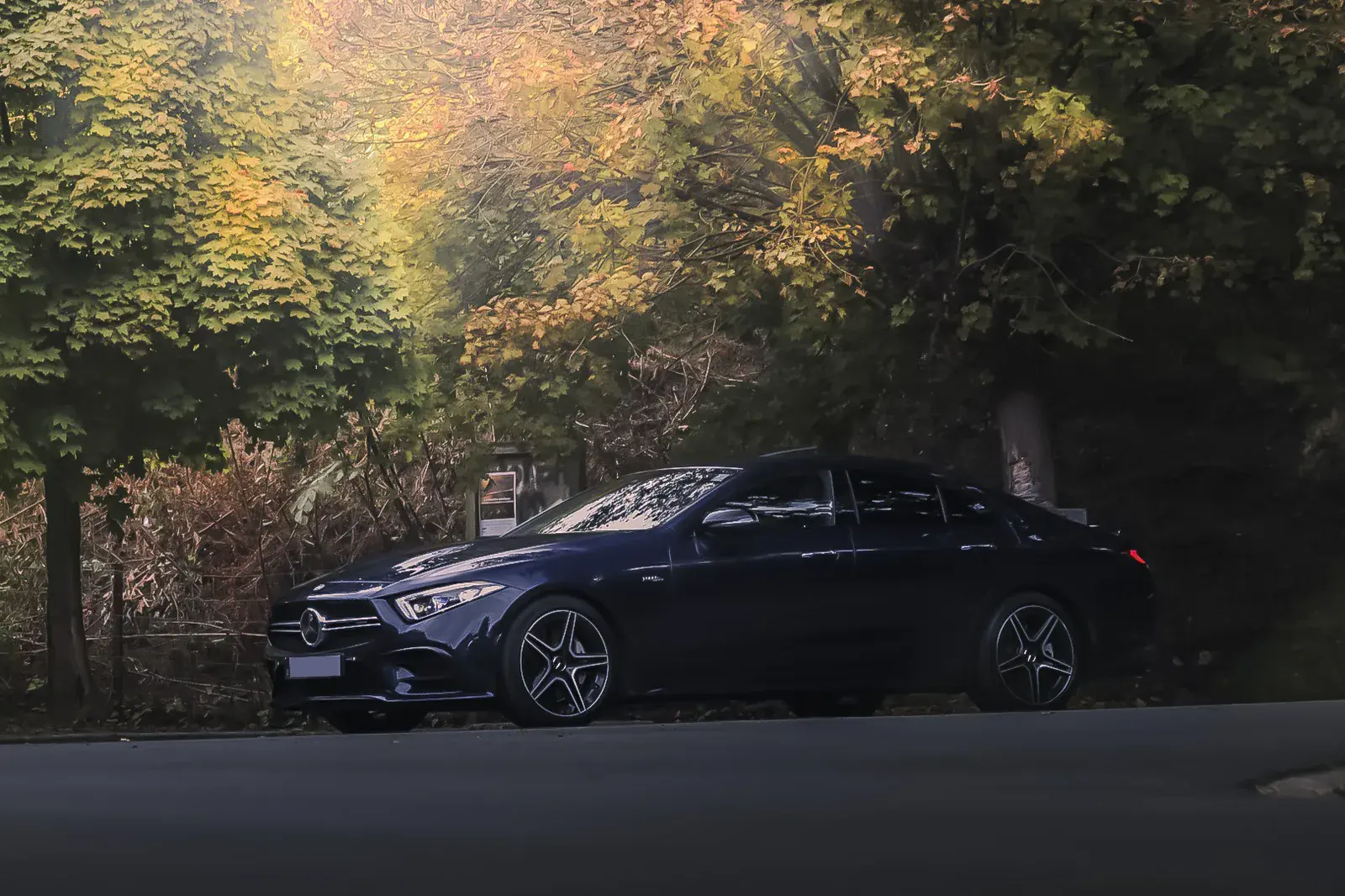 Berline Mercedes sombre photographiée sous des arbres