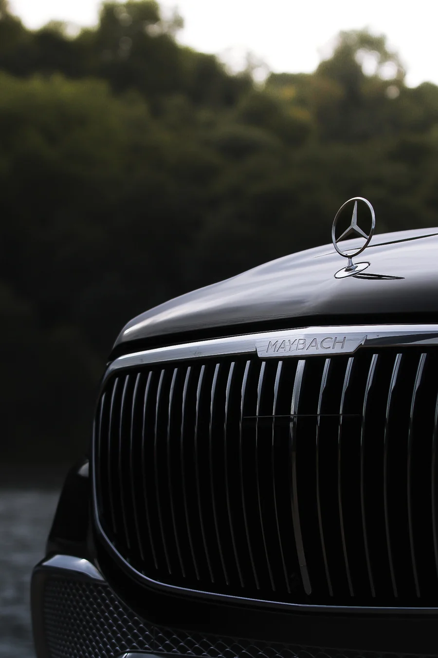 Calandre et emblème du Mercedes-Maybach GLS 600
